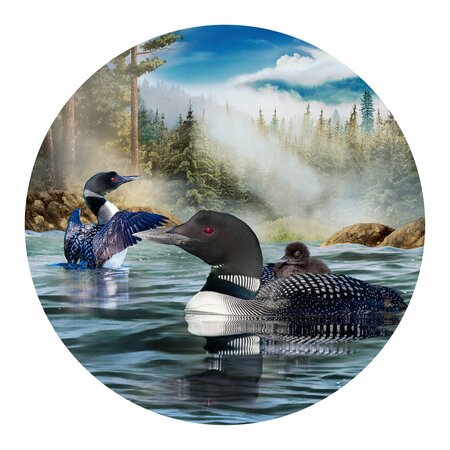 NEXT INNOVATIONS Loons Round Wall Art 101410036-GZLOONS